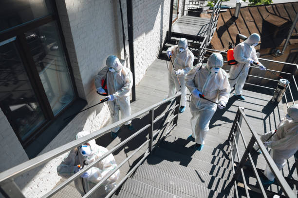 Best Mold Odor Removal Services  in Hagaman, NY